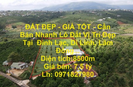 ĐẤT ĐẸP - GIÁ TỐT - Cần Bán Nhanh Lô Đất Vị Trí Đẹp Tại  Đinh Lạc, Di Linh, Lâm Đồng